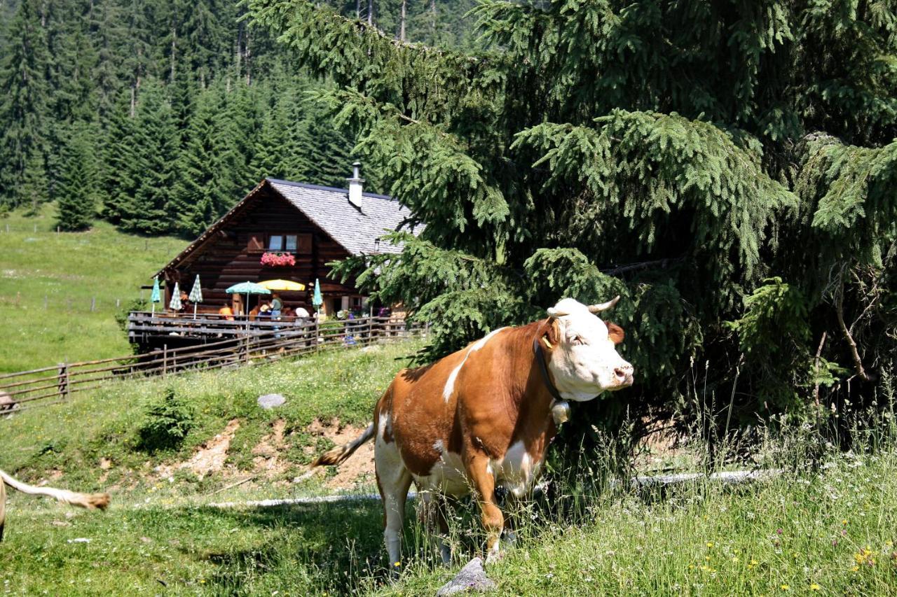 Chalet 164 Bad Goisern Zewnętrze zdjęcie